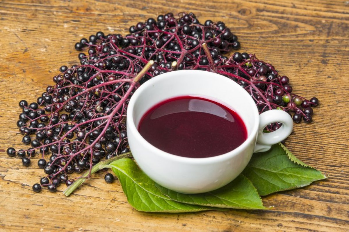 What is Black Elderberry, what are its benefits?  How to consume Black Elderberry?  #4