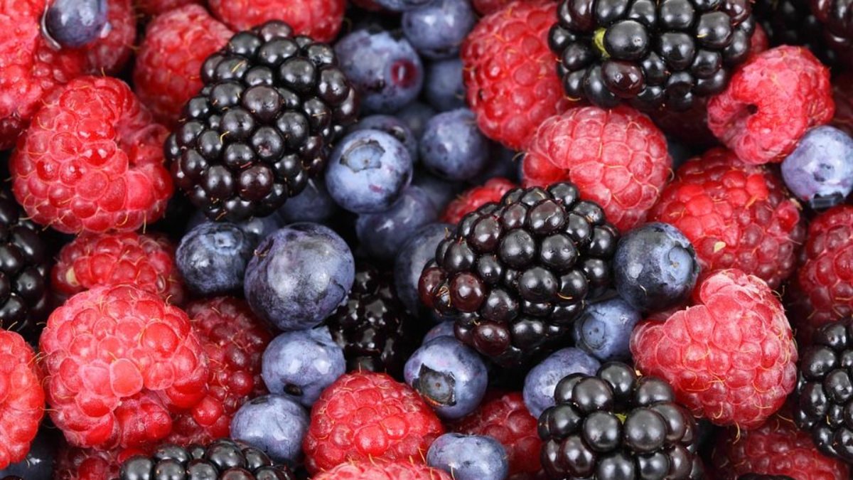 What is anthocyanin ? – Kimdeyir