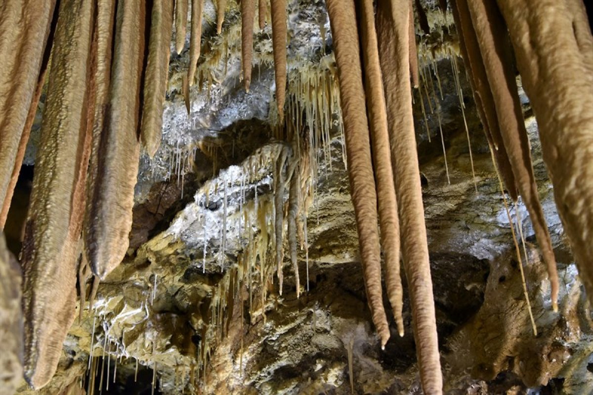 Gümüşhane’nin Karaca Mağarası turistlerin ilgi odağı oldu #4