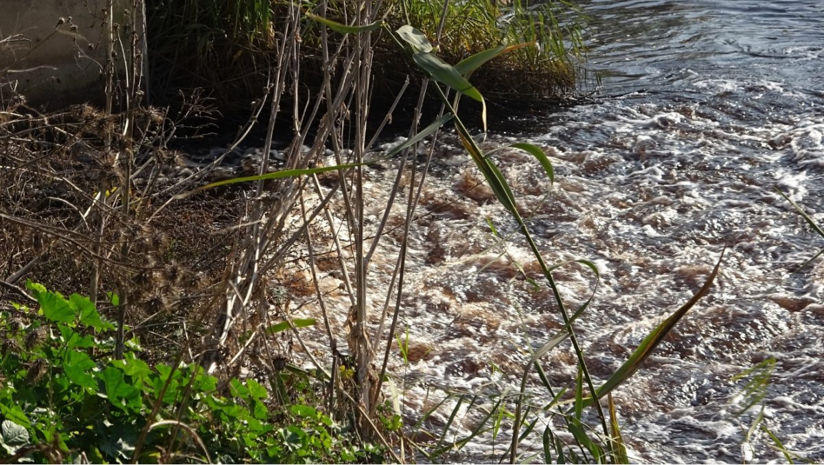 Factory waste pollutes water in Bursa # 3