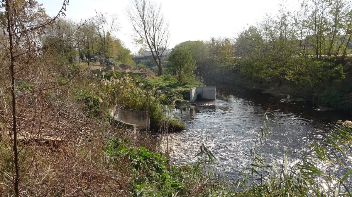 Factory waste pollutes water in Bursa # 4