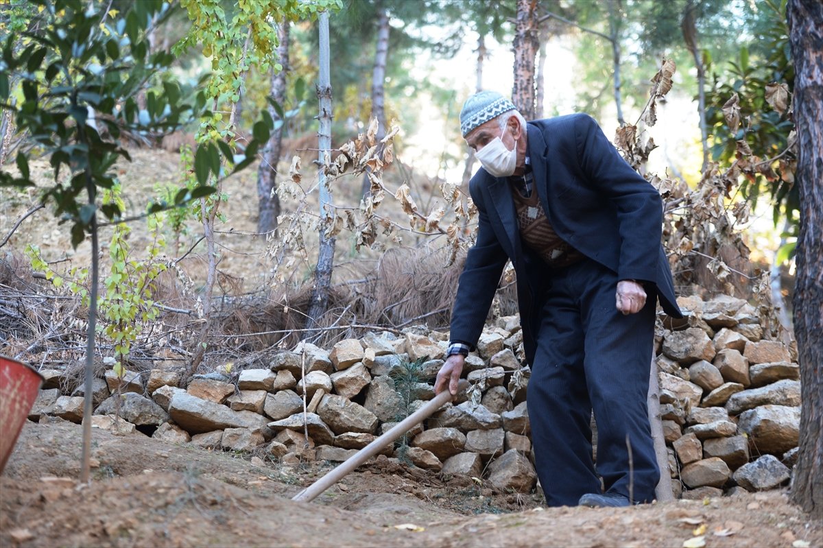 Mardinli Şeyhmus Amca, kendi uğraşıyla orman oluşturdu 3 seyhmus amca 6305