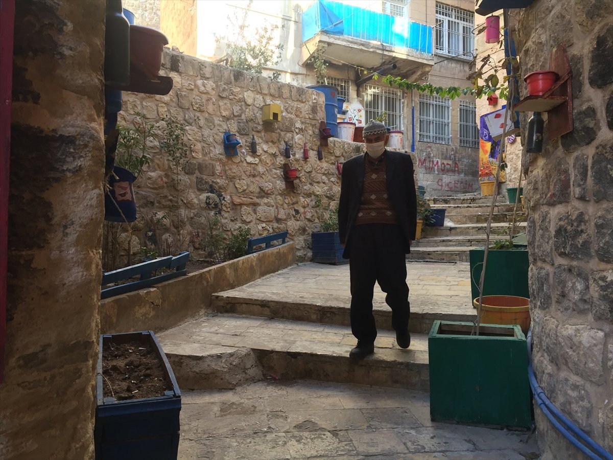 Mardinli Şeyhmus Amca, kendi uğraşıyla orman oluşturdu 4 seyhmus amca 8752