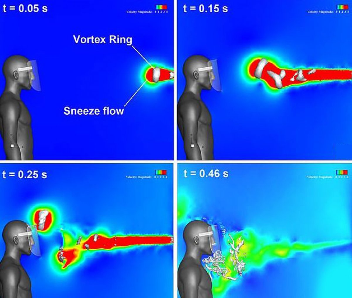 Plastik yüz siperinin, koronavirüse karşı etkisiz olduğu ortaya çıktı #1