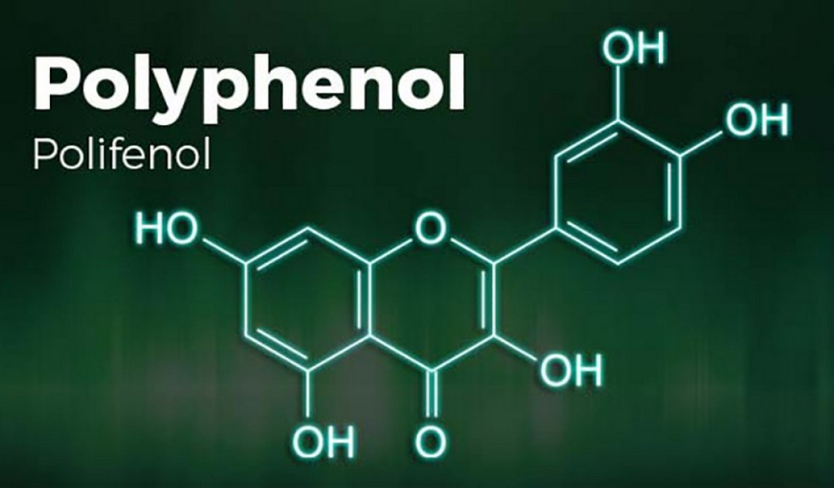 What is polyphenol #2