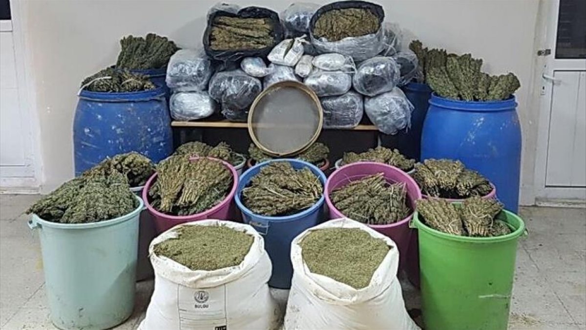 Turkish forces seize over 1 ton of marijuana in southeastern Turkey
