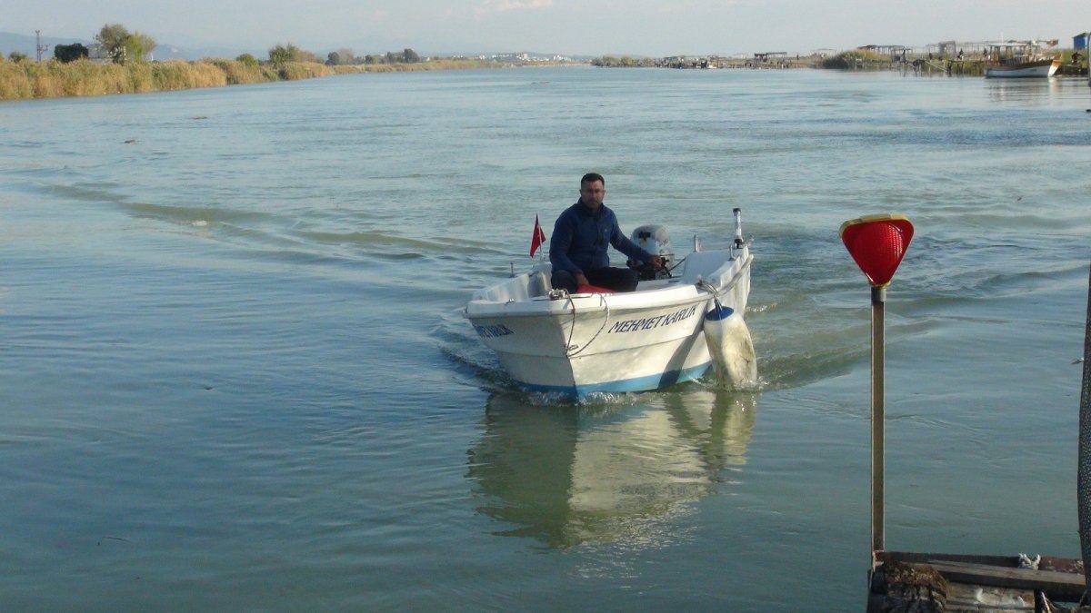 Amatör balıkçılar da balon balığı desteği istiyor
