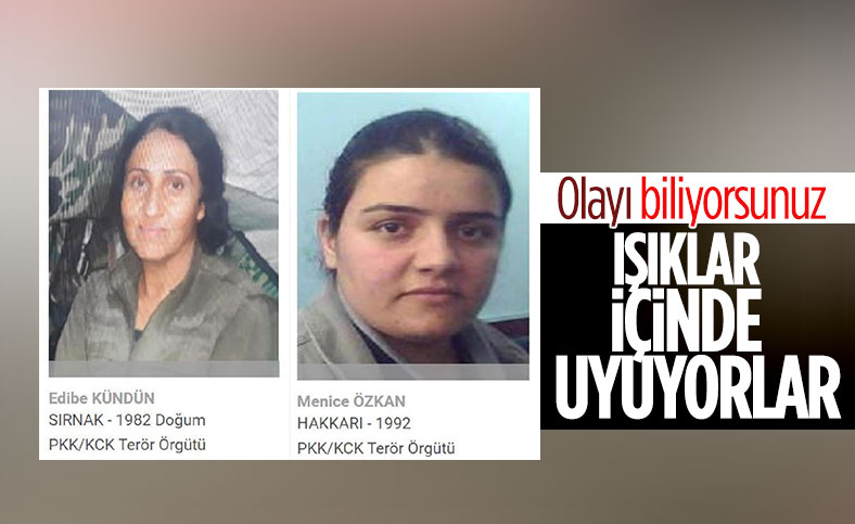 Gabar Dağı'nda öldürülen 2 teröristin gri kategoride yer aldığı belirlendi