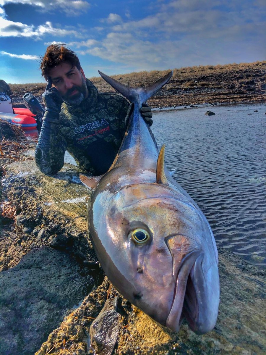 27 kg of giant moth caught in Çanakkale # 1