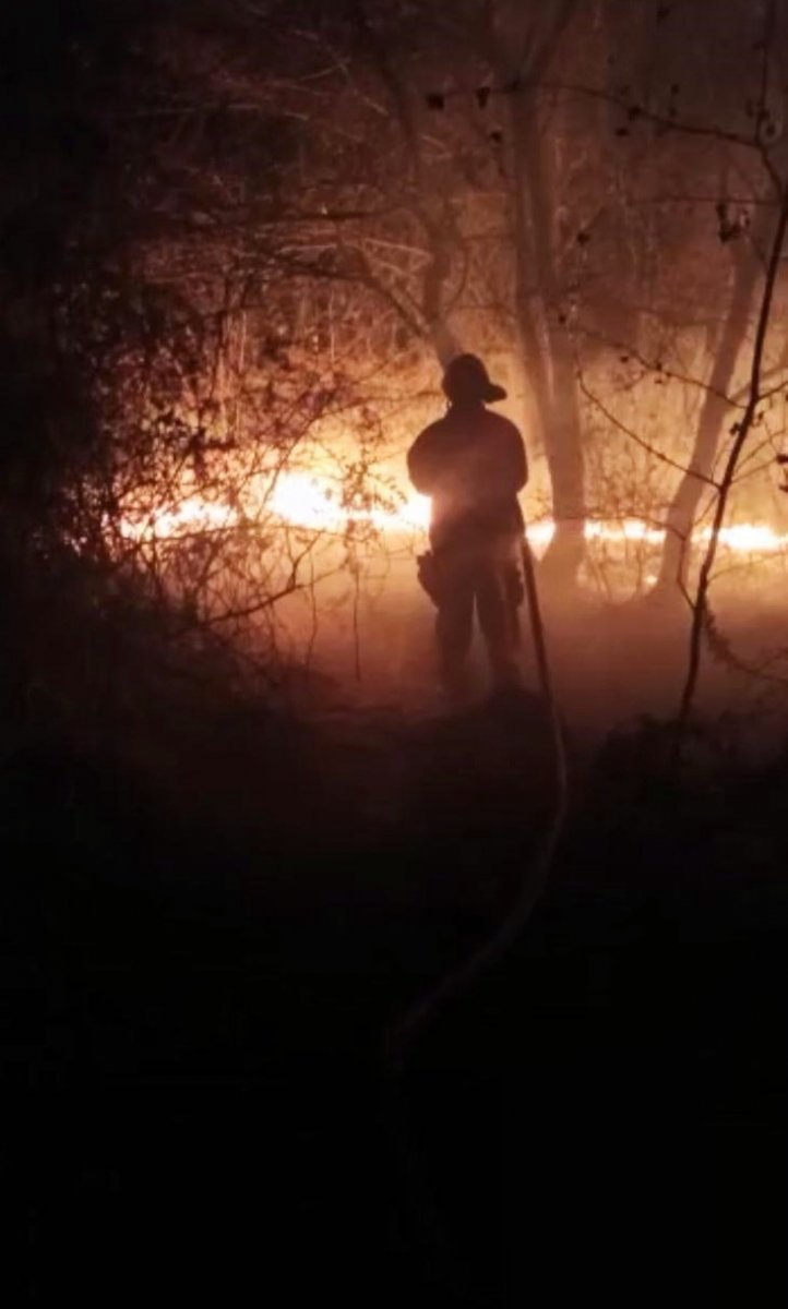 A fire broke out in the forest where Adil Öksüz buried his bags # 3