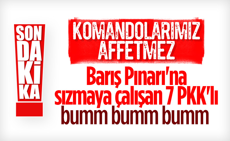 Barış Pınarı bölgesinde 7 terörist öldürüldü
