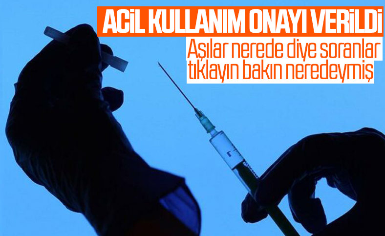 CoronaVac aşısı için 'Acil Kullanım Onayı' verildi
