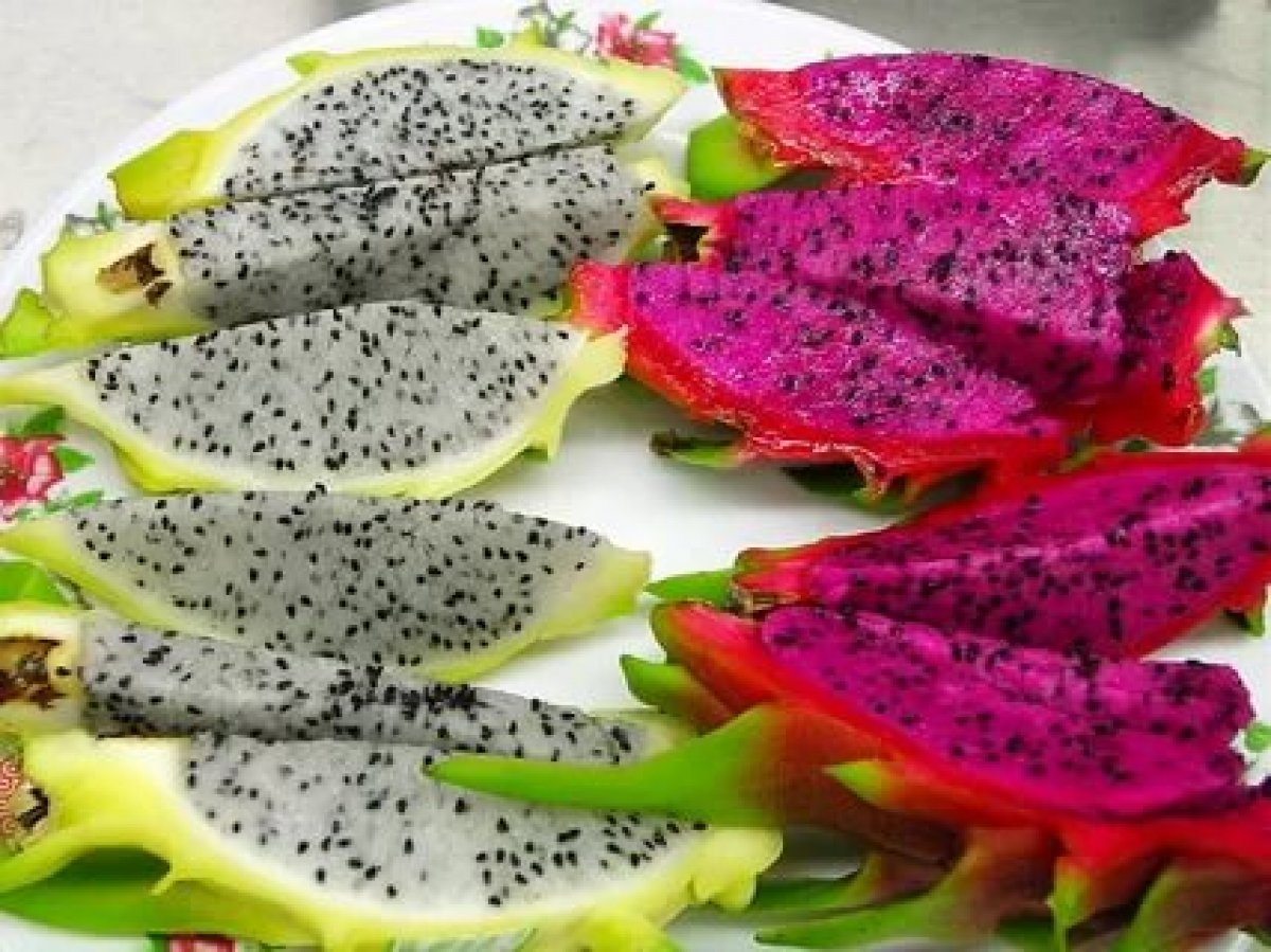 What is dragon fruit, what are its benefits?  How to consume dragon fruit?  #3