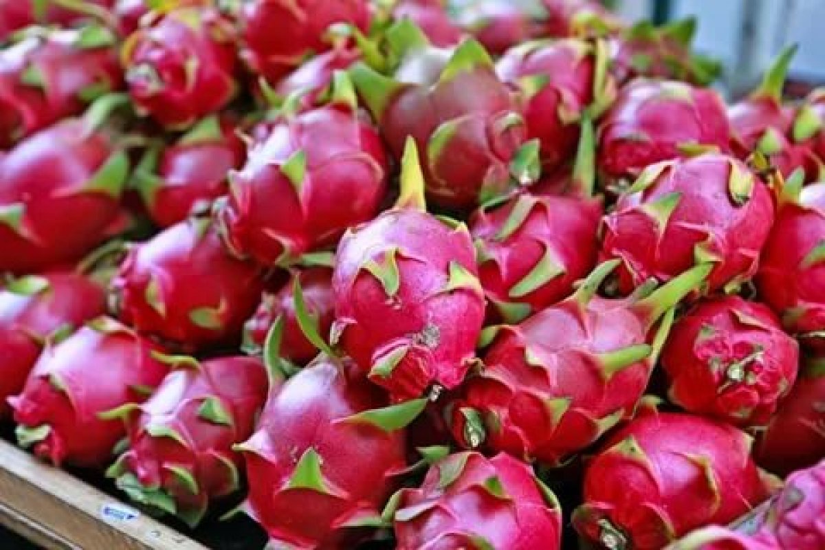 What is dragon fruit, what are its benefits?  How to consume dragon fruit?  #2nd