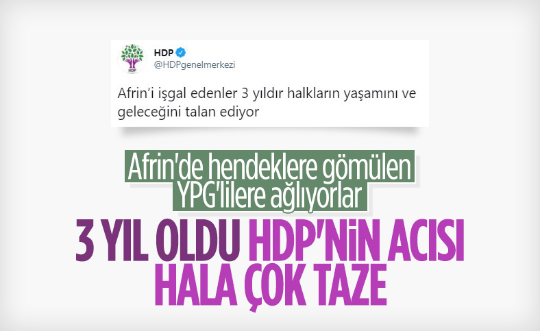 HDP, Zeytin Dalı Harekatı'nı bu yıl da kınadı