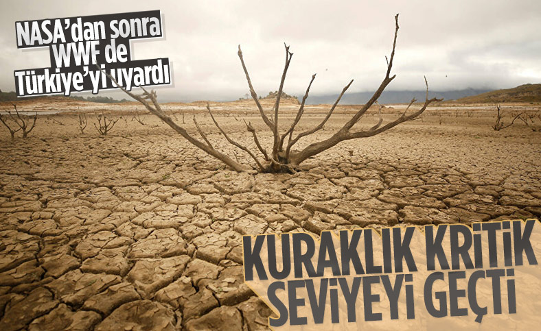 WWF'den Türkiye'ye uyarı: Kuraklık kritik seviyeyi geçti