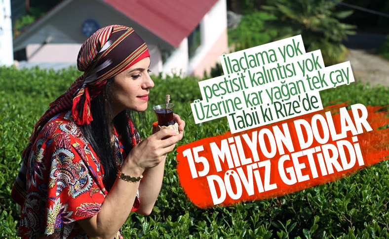 Türk çayını en çok Avrupalılar tüketiyor