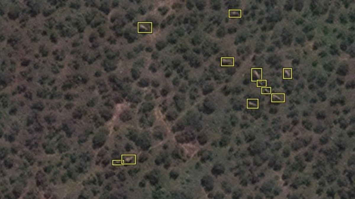 Artificial intelligence system that can detect elephants from space #1