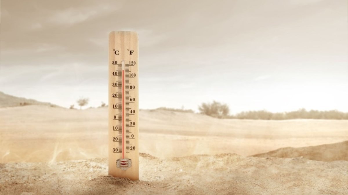 The average temperature of the world may increase by 5-6 degrees by 2100