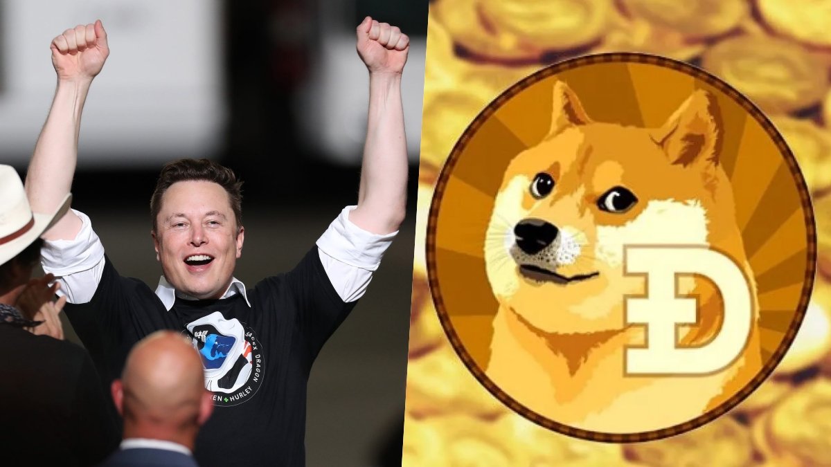 elon musk dogecoin