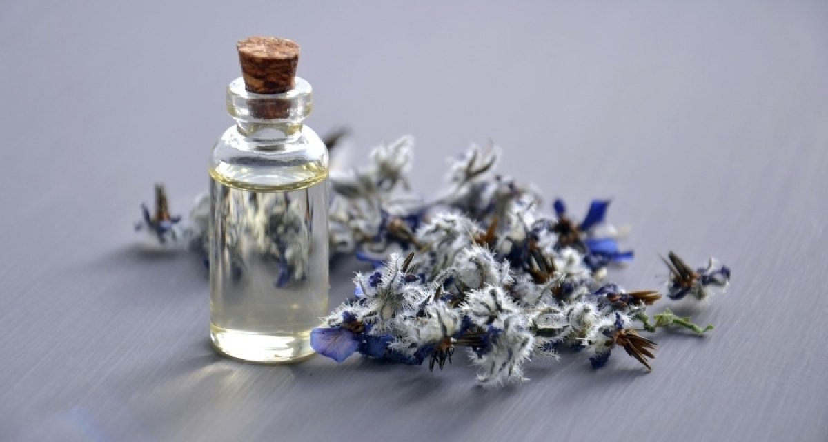 What is borage oil, what are its benefits?  How to use borage oil?  #2nd