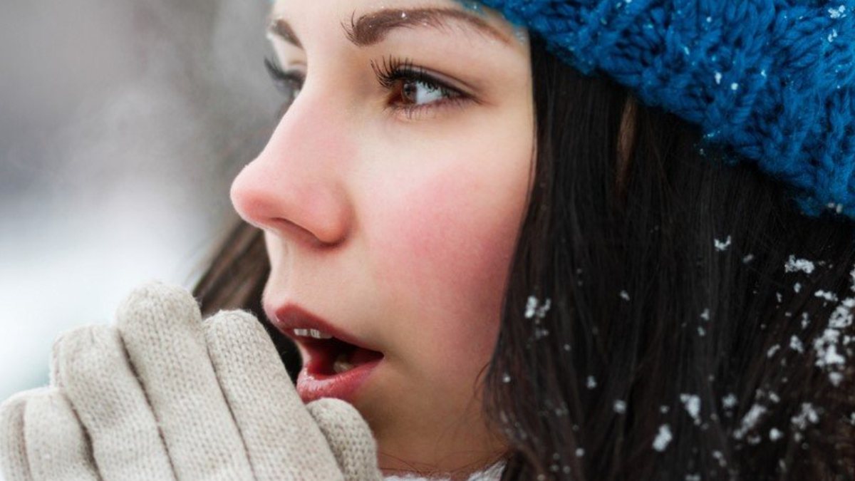 4-reasons-why-your-nose-is-cold-kimdeyir