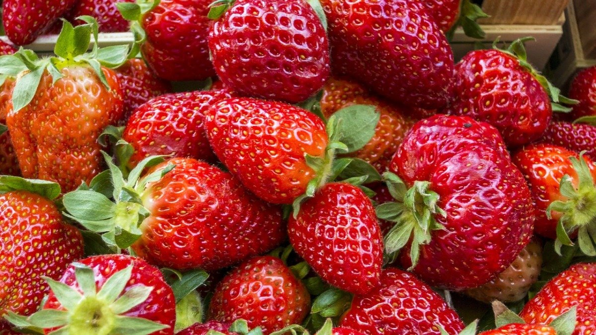 10 common fruits with amazing benefits #8