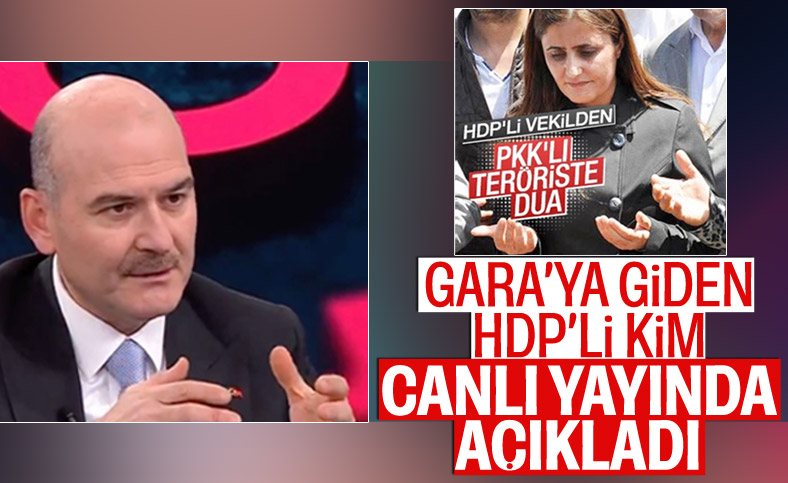 Bakan Soylu: Gara'ya giden HDP Ağrı Milletvekili Dirayet Dilan Taşdemir