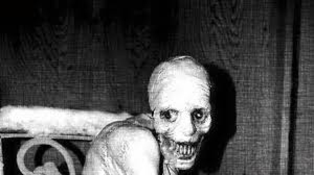 What is the Russian sleep experiment, is it real?  How was the Russian sleep experiment done?  #one