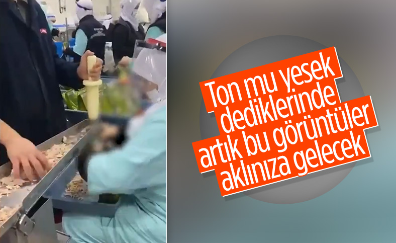 Elle ton balığı paketleme görüntülerine sosyal medya tepkisi