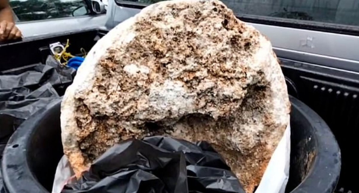 What is ambergris #1