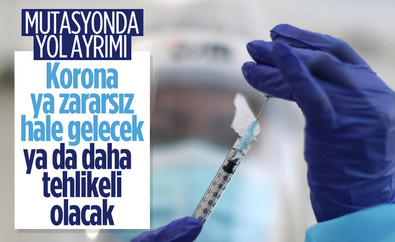 Prof. Mehmet Ceyhan: Mutasyonda yol ayrımındayız