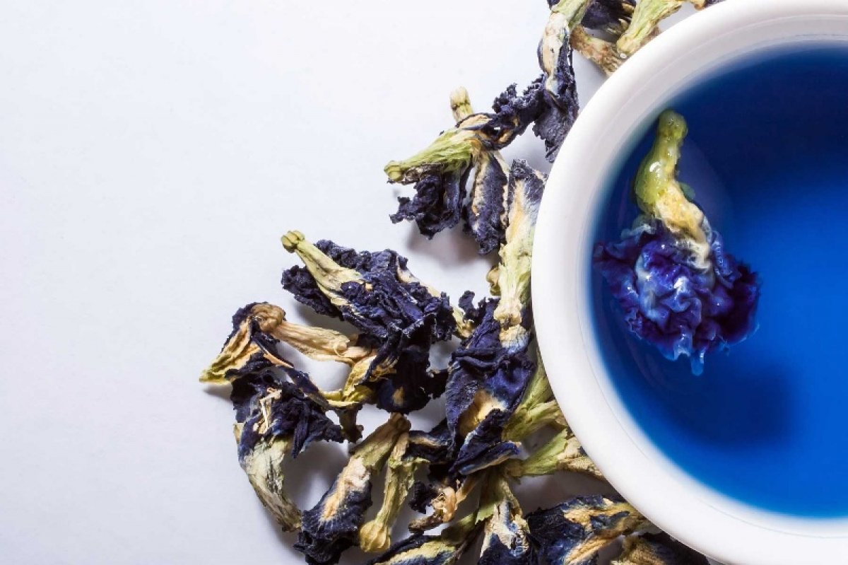 What is Blue Butterfly Ivy tea and how is it consumed?  Blue Butterfly Ivy tea benefits #2