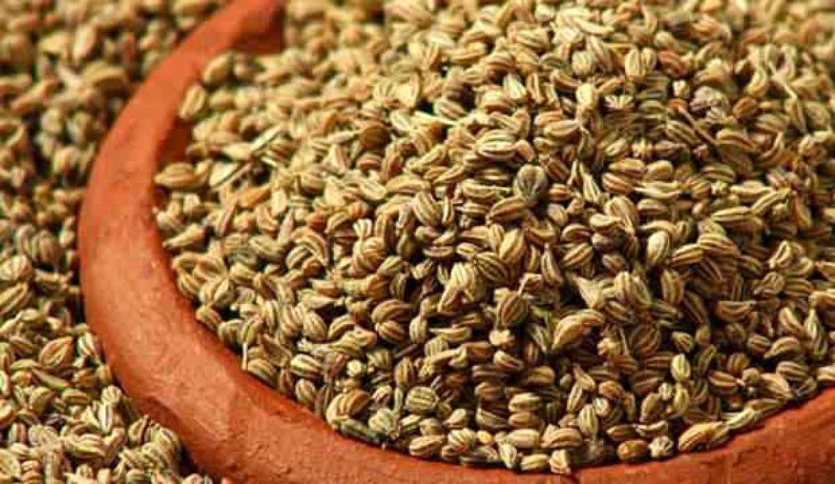 What is peganum seed, what are its benefits?  How to use peganum seed?  #2nd