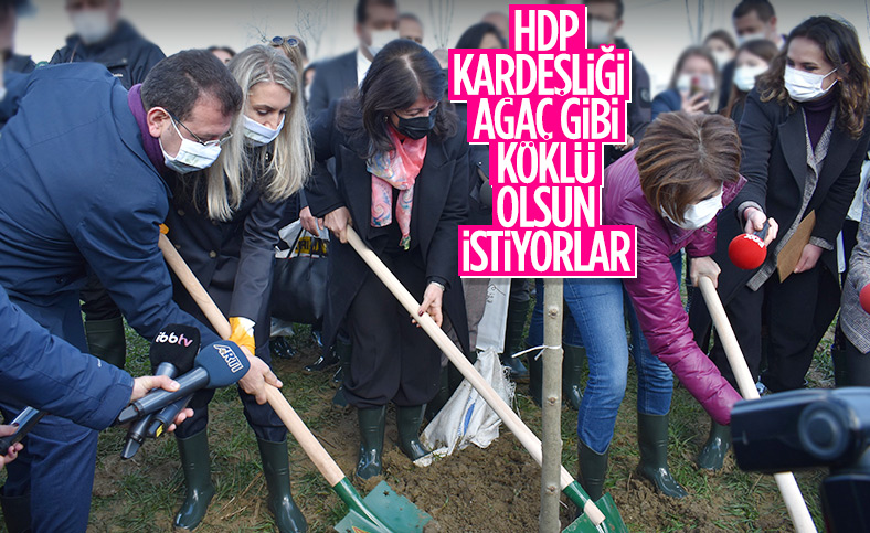 Pervin Buldan ve Ekrem İmamoğlu birlikte fidan dikti