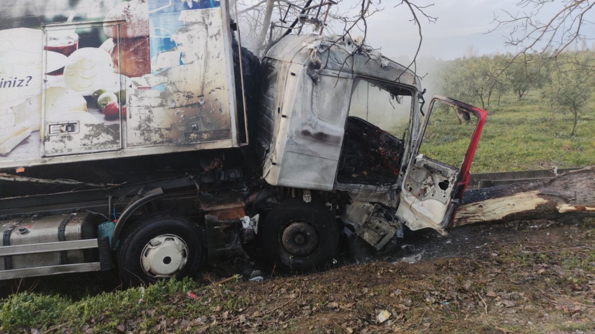 Bursa’da kamyon alev alev yandı, sürücü son anda kurtarıldı #2