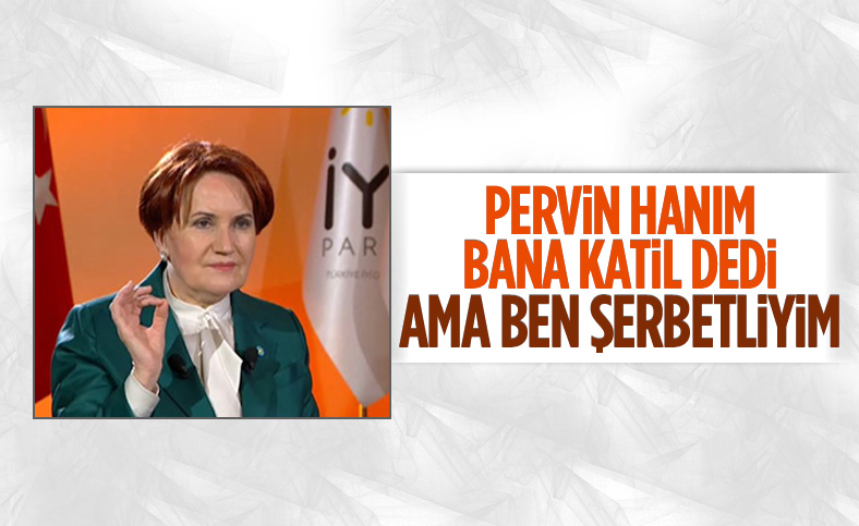 Meral Akşener'den kendisine azmettirici diyen Pervin Buldan'a yanıt