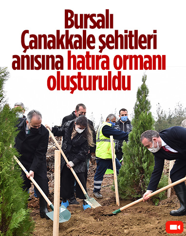 Bursa'da Çanakkale şehitleri anısına 4 bin 92 fidan dikildi