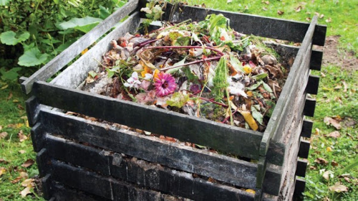 What is compost #2