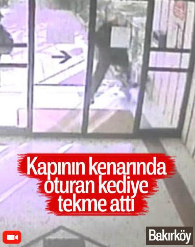 Ataköy'de bir şahıs kediye tekme attı