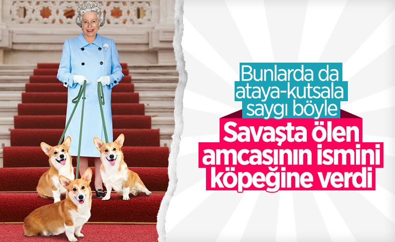 Kraliçe Elizabeth, köpeğine savaşta ölen amcası Fergus'un adını verdi