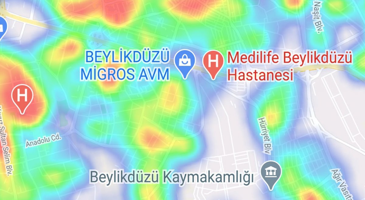 Case density by districts in Istanbul #12