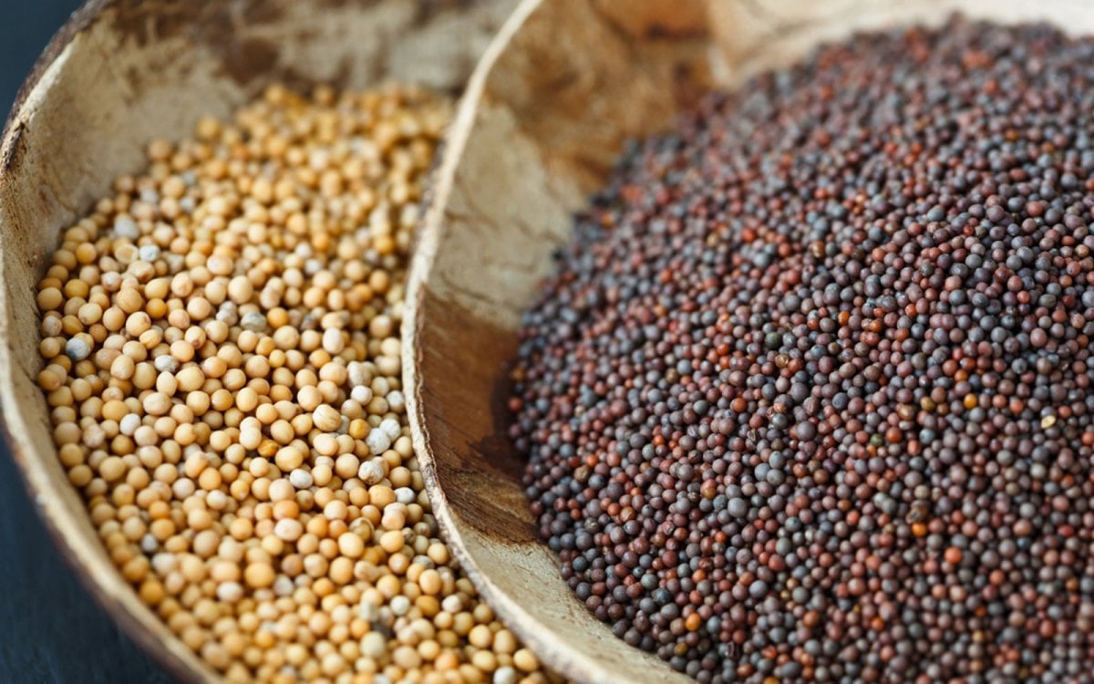 What is mustard seed, what are its benefits?  How to consume mustard seeds?  #2nd