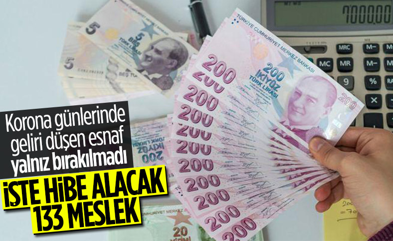Hibe desteği yapılacak 133 meslek
