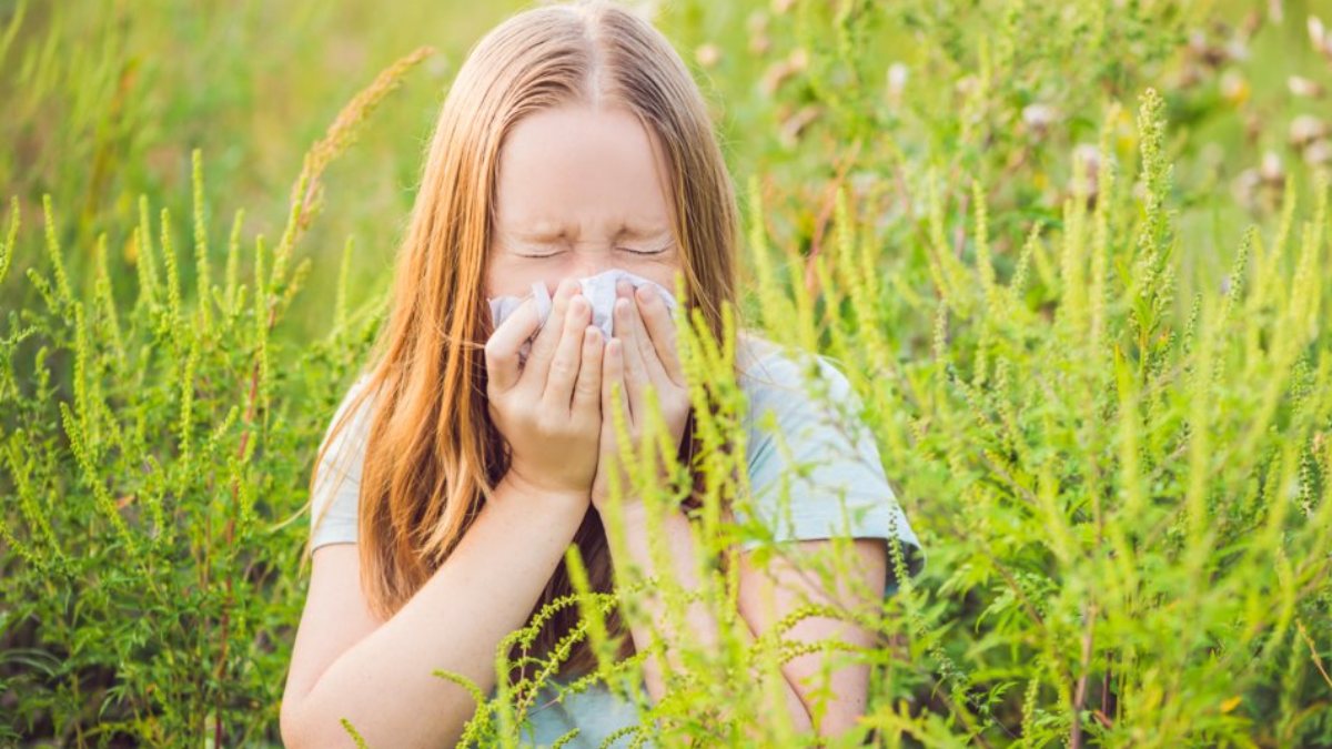 what-is-hay-fever-and-what-are-its-symptoms-how-long-does-hay-fever