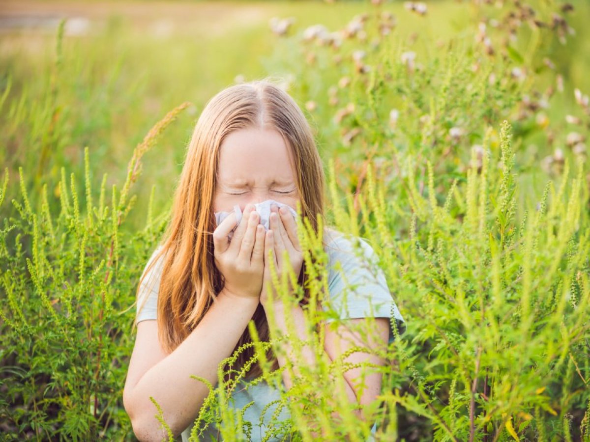 What is hay fever and what are its symptoms?  How long does hay fever last?  #2nd