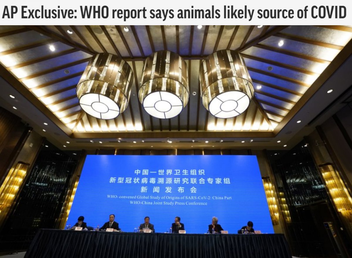 WHO report: Animals, source of coronavirus #2