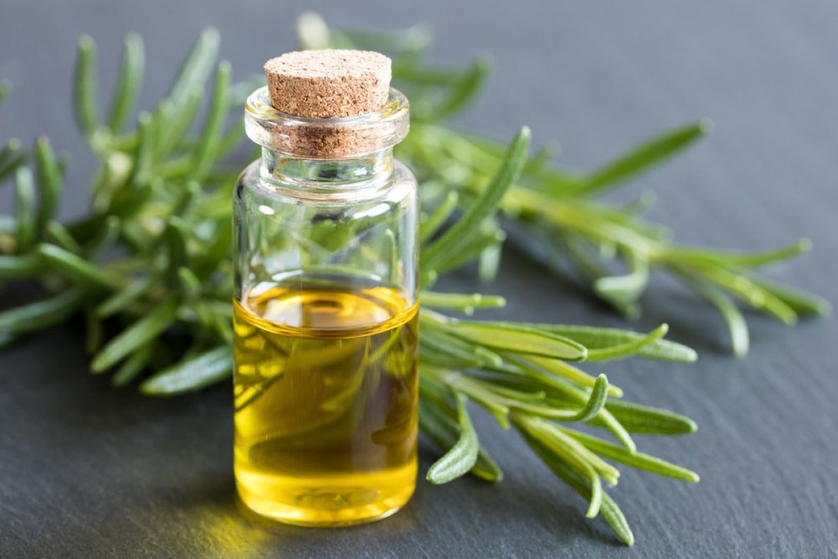 Benefits of rosemary oil #2