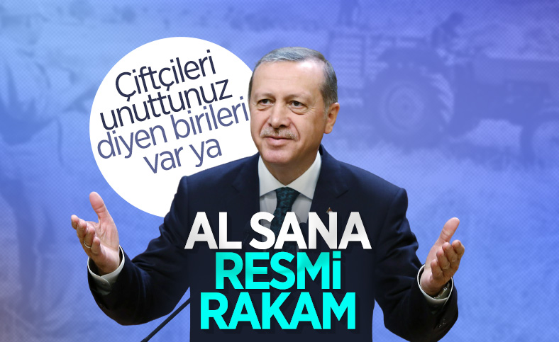Cumhurbaşkanı Erdoğan'dan çiftçilere 'tarımsal destek' müjdesi