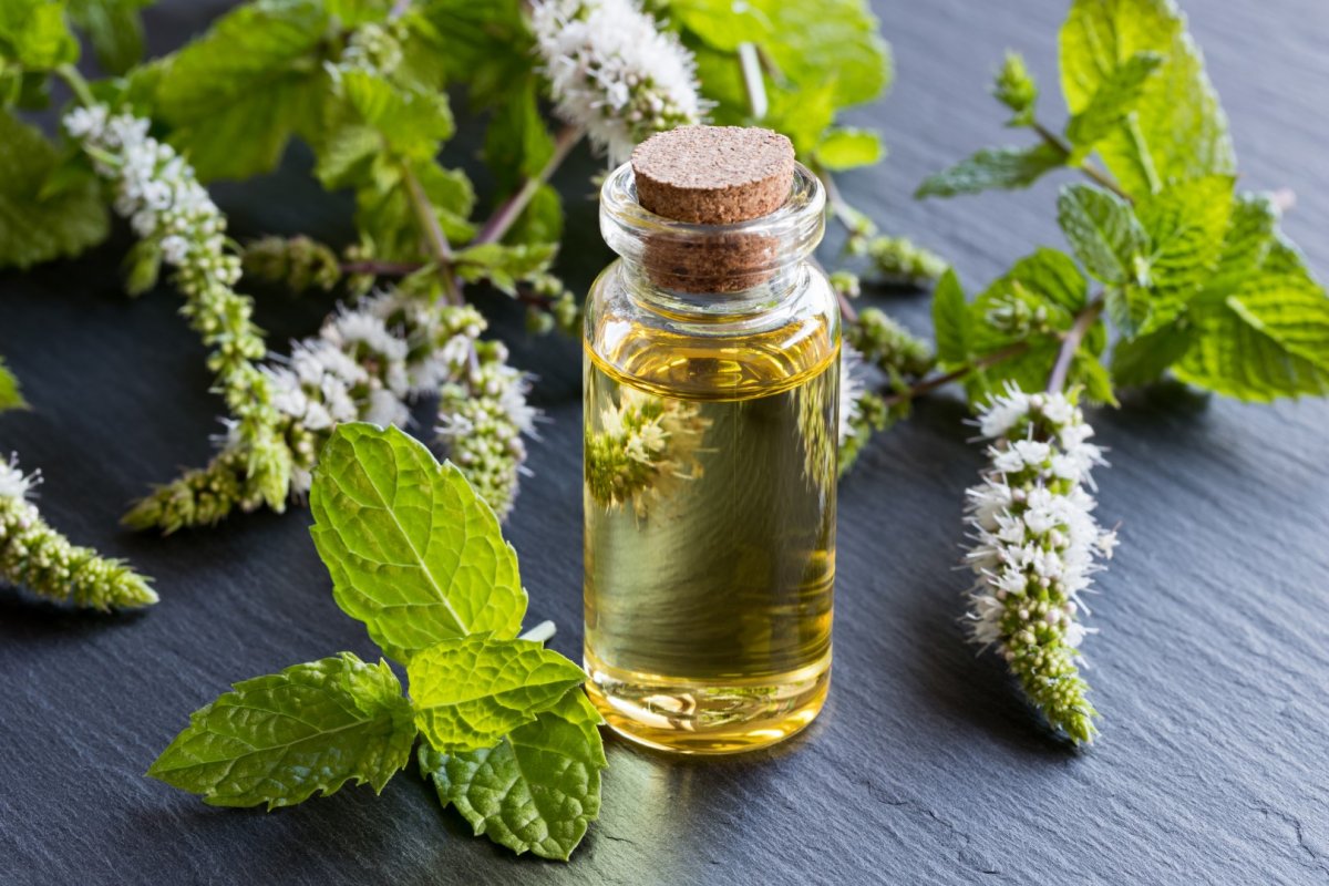5 essential oils that help with weight loss #3